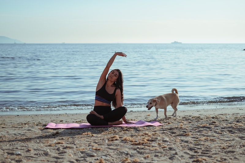 Novi Calming Mat ? Anxiety Relief for Small & Senior Dogs