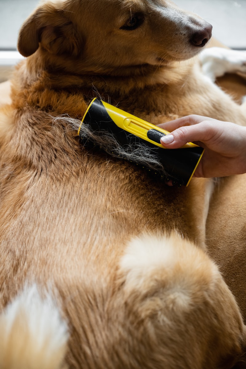 Novi Gentle Deshedding Brush ? Sensitive Skin for Small & Senior Dogs